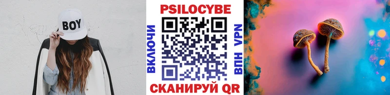 Галлюциногенные грибы Psilocybe  Гагарин 